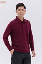 z4665350401312_2ec6e28bfcaa56b187c80b36855e140a Ảnh của Polo dài tay