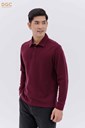 z4665350423087_194ec582e6604ae016e2427993533eaf Ảnh của Polo dài tay